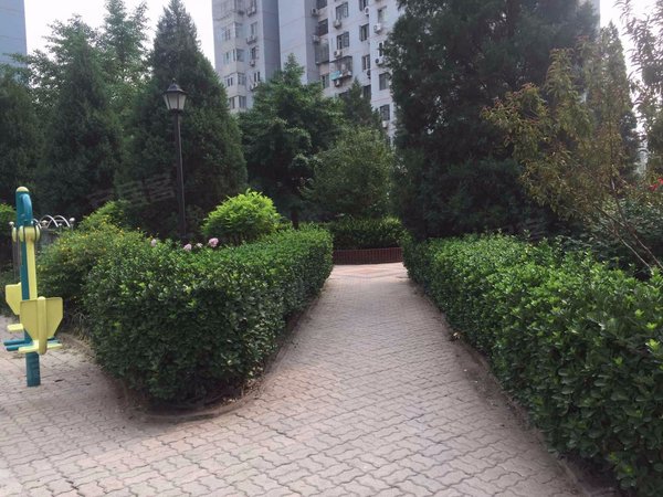 【多图】南湖东园一区,望京租房,地铁望京站 博泰大厦 叶青大厦 南湖