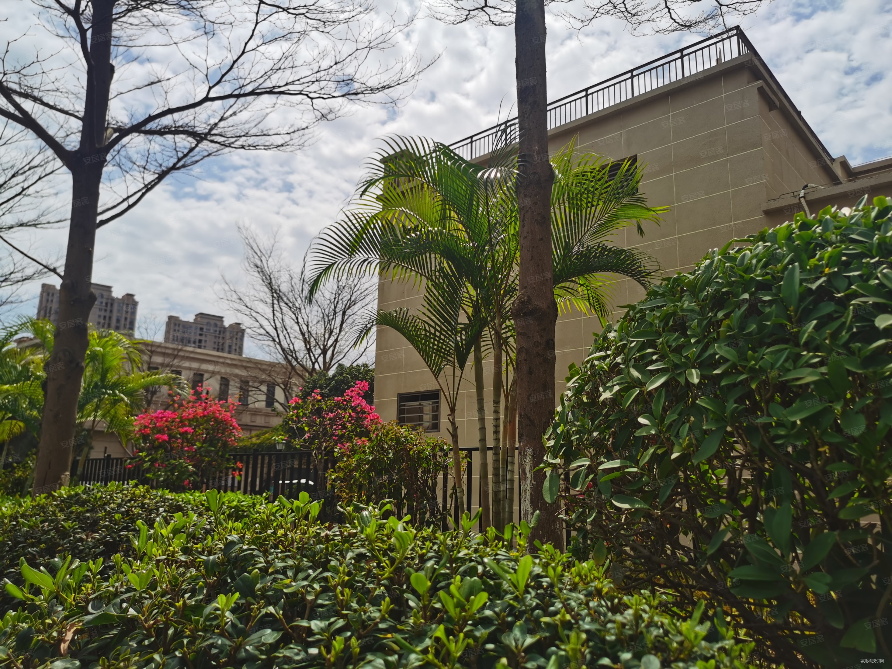 龙湖嘉屿城(公寓住宅)2室2厅1卫87㎡南北225万