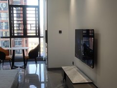 醴陵太一商城醴陵市区状元华府loft  姜湾陪读房 品牌家电齐全 拎包入住出租房源真实图片
