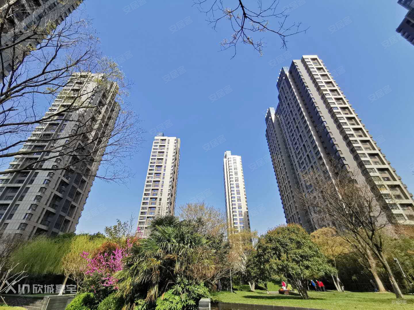 河西入门级好房 江湾城一期 低总价 满五年 精装修两房 急售