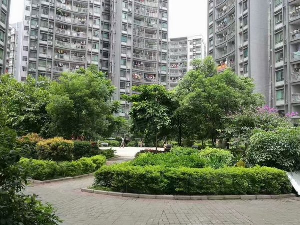 深圳宝安沙井恒源花园恒源花园一房一厅出租出租房源真实图片