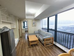 合肥滨湖新区滨湖世纪城滨湖新地城精装两房边户 会展中心地铁口 领包入住 采光无遮挡出租房源真实图片