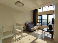 东莞塘厦老区星河时代(商住楼) 1室1厅2卫  电梯房 精装修32平米出租房源真实图片