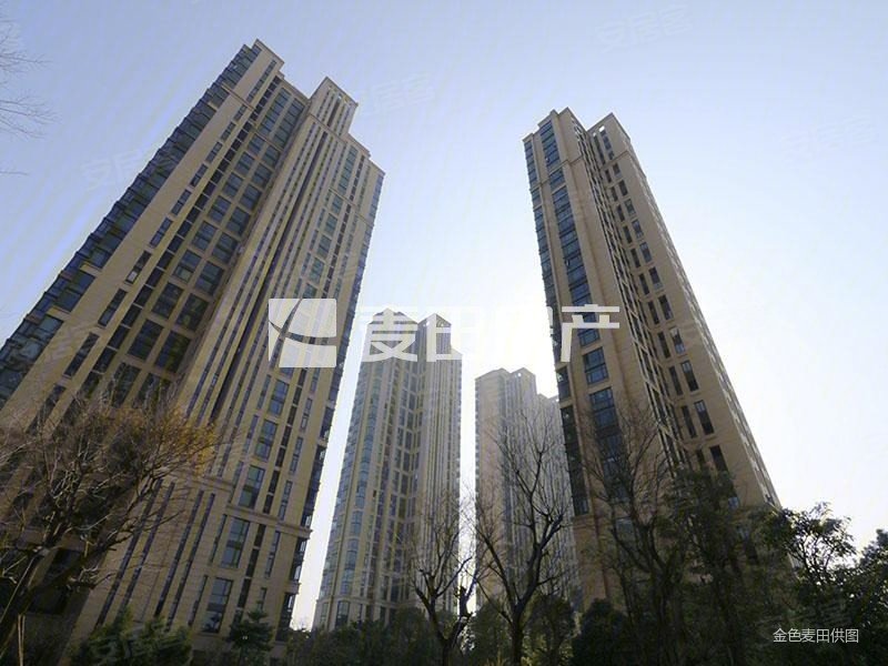 五缘湾 国贸天琴湾 大户型 大露台 房东诚意卖