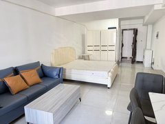 合肥新站陶冲湖地铁口可短租押一付一随时看拎包入住停车免费欢迎咨询出租房源真实图片