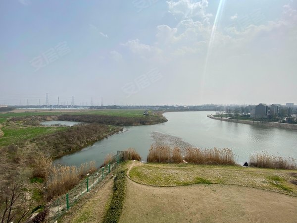 【多图】万科莱茵半岛(公寓住宅),黄渡租房,安亭新镇 莱茵半岛上叠 湖