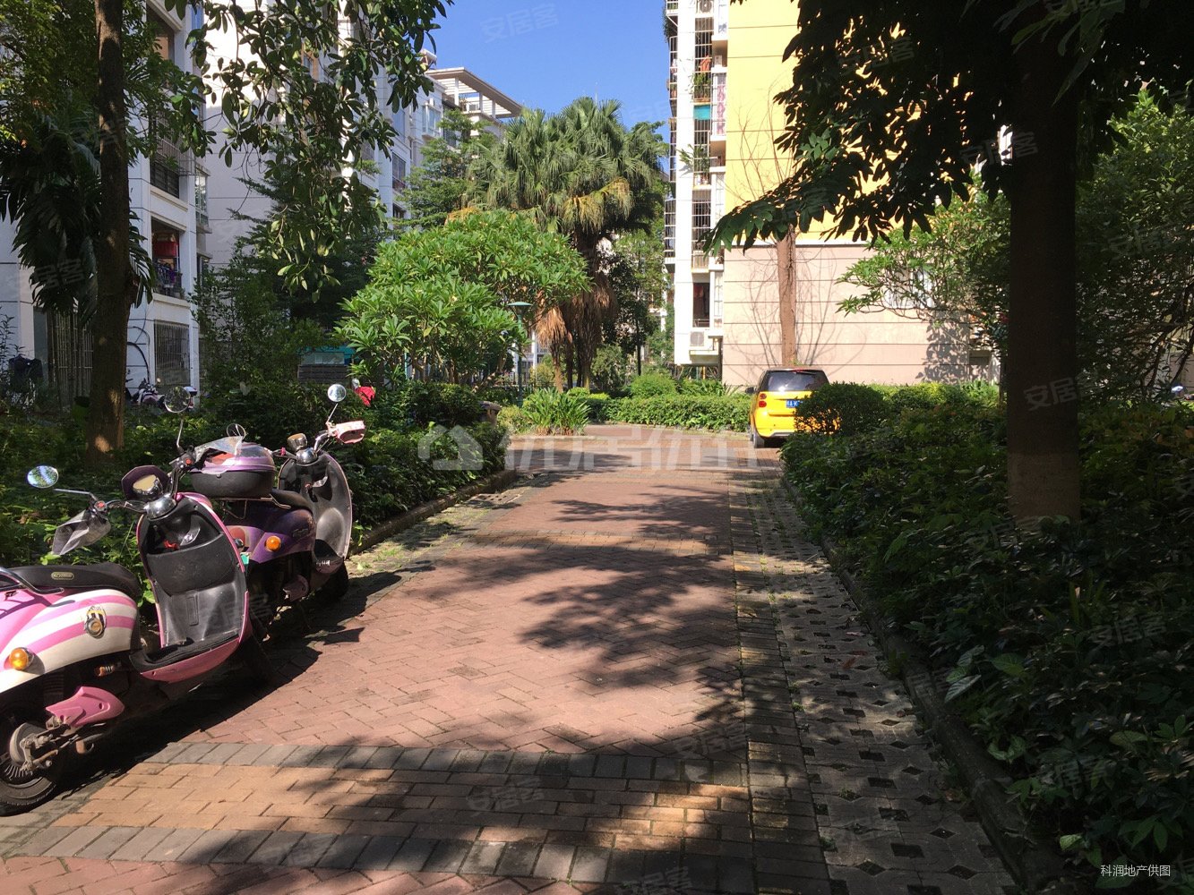 江南新兴苑南区