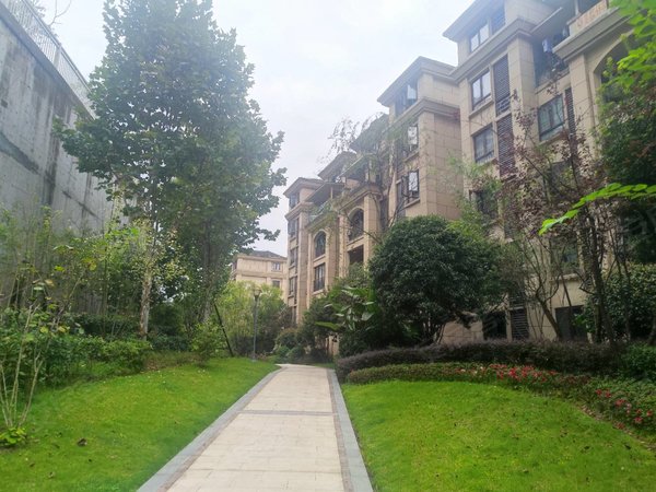 重庆万州江南新区海成南滨上院揽江全新装修!包物业费!