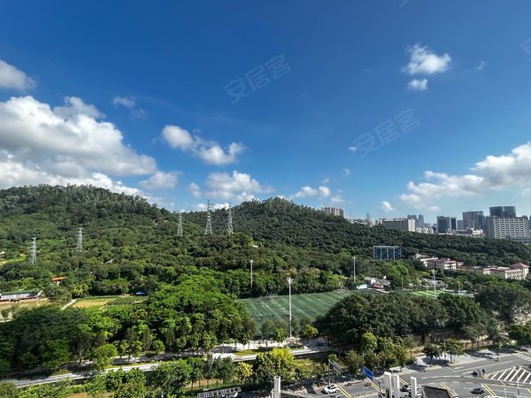 深圳宝安固戍凤凰岗村12号线豪华装修超大单间毕业生优惠折扣独栋无