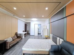 合肥庐阳双岗全屋护墙板 世纪中心精装一房出租 可月付 长短租均可 有钥匙出租房源真实图片