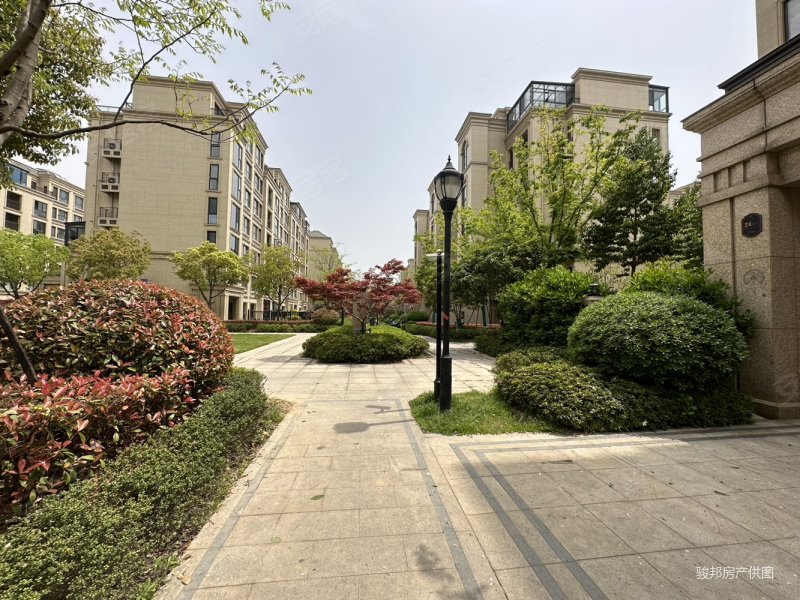 这价格还不冲吗(洋房带车位)位置安静,天一旁,融创东方御园二手房,238