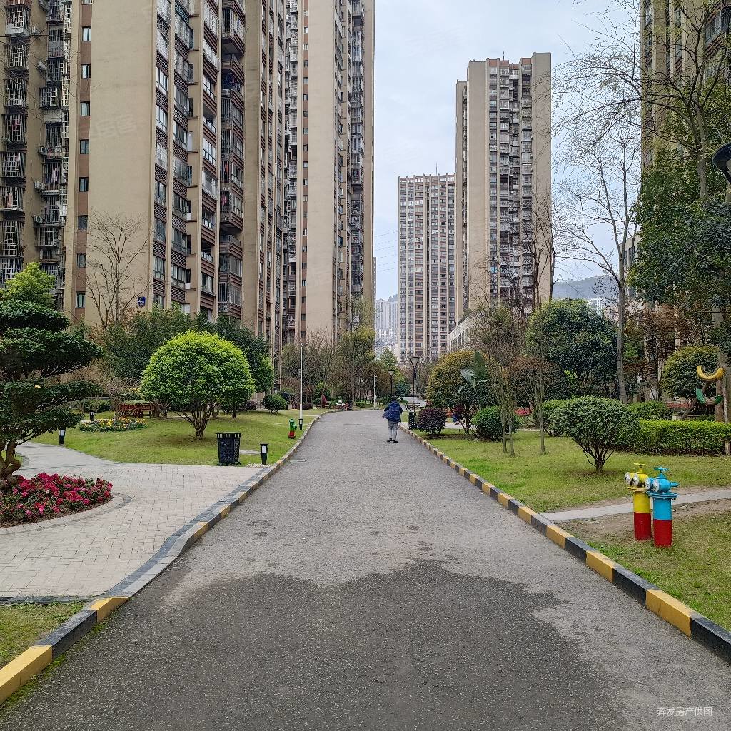 万州金科观澜d区3室2厅2卫120㎡南北68.8万