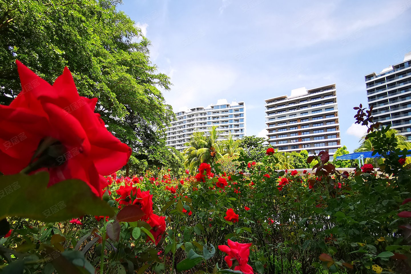 艺海棠:旅居优选,是生活亦是度假 –三亚 热点区域 – 安居客