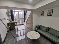 九江濂溪南山公园新职大 颐高广场 一房一卫 精装修  电梯房出租房源真实图片