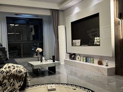 嵊州城区市中心碧桂园天玺湾.豪华装修.阳光好出租房源真实图片