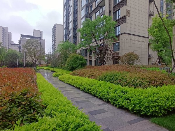 郑州郑东新区龙子湖碧桂园天琴湾高铁站,54中,千亩湿地公园,不临街不