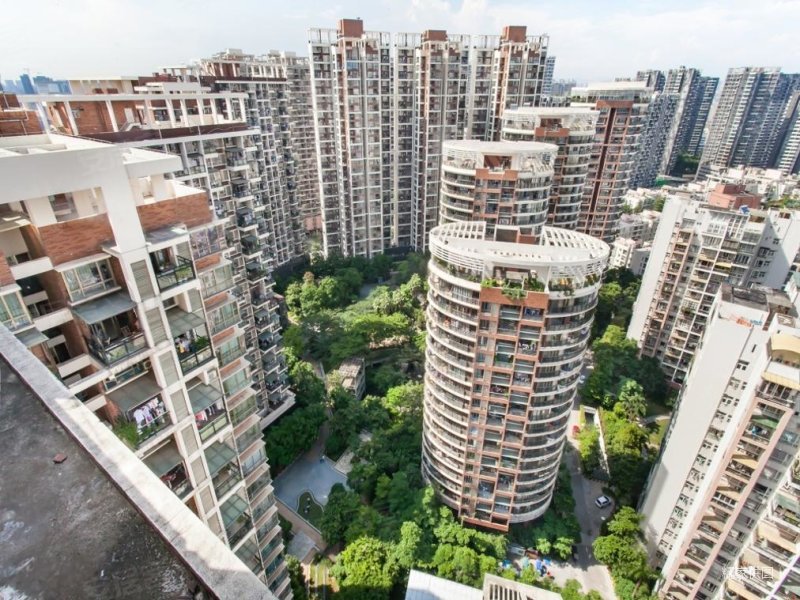 深圳房产网>深圳二手房>龙华二手房>民治二手房>世纪春城(四期)>800