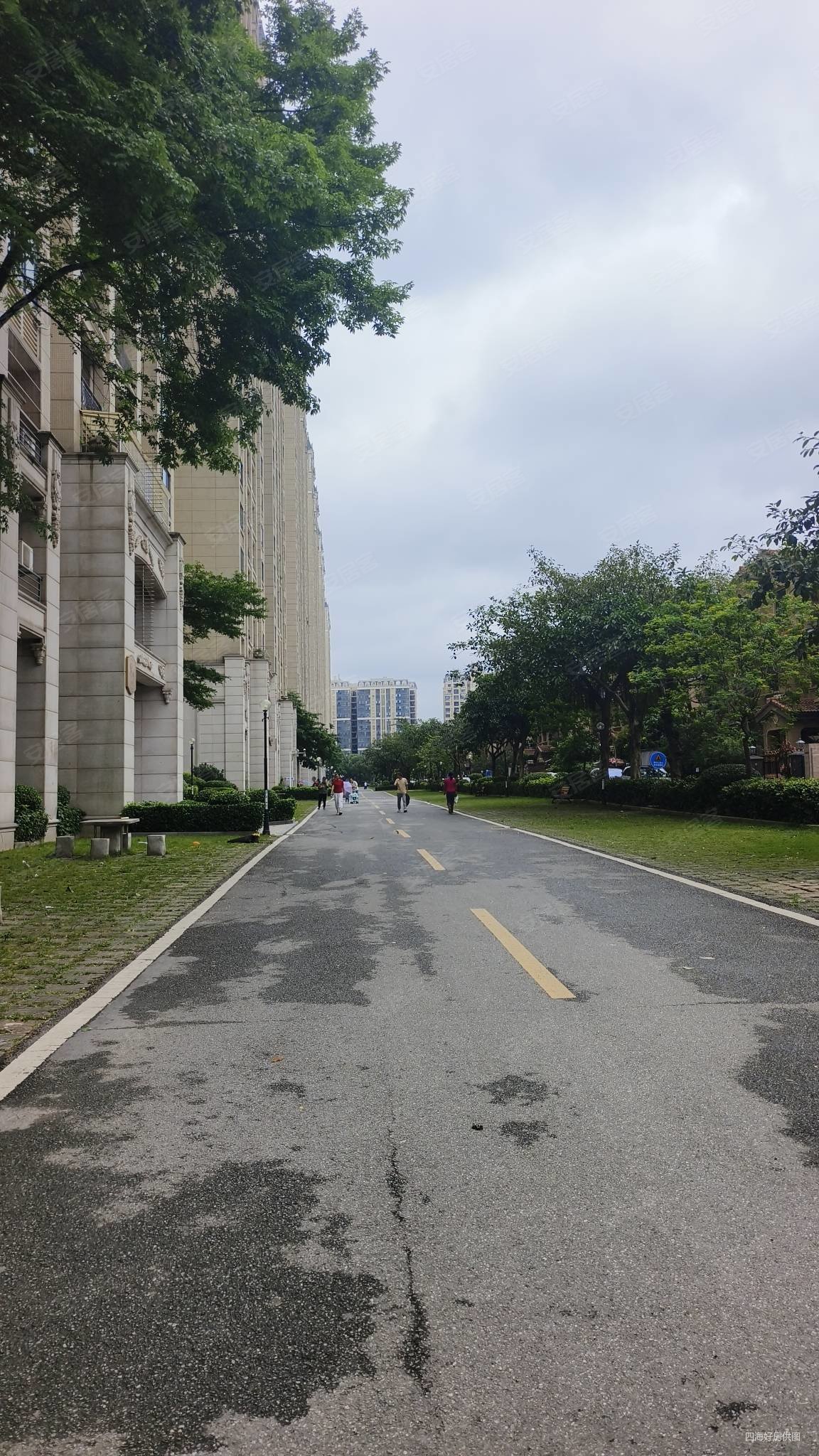 碧桂园天麓山一期3房120w朝南 满五  看房方便