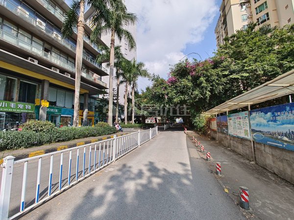 南宁青秀民族广场阳光100城市广场民族广场 电梯一房 可办公可居家 有