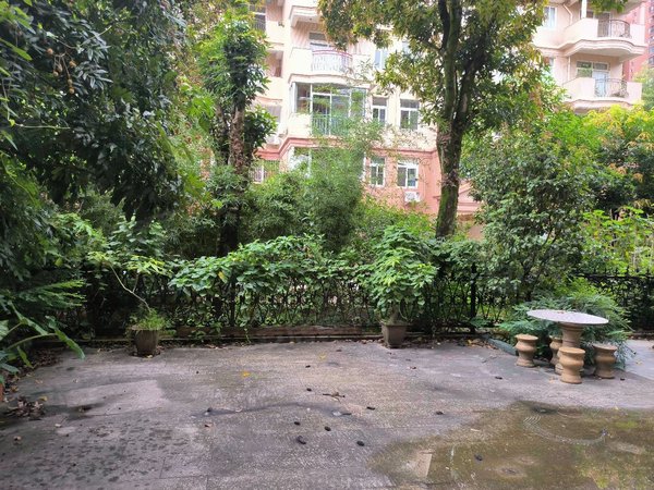 福州闽侯上街金桥花园玫瑰苑带花园!