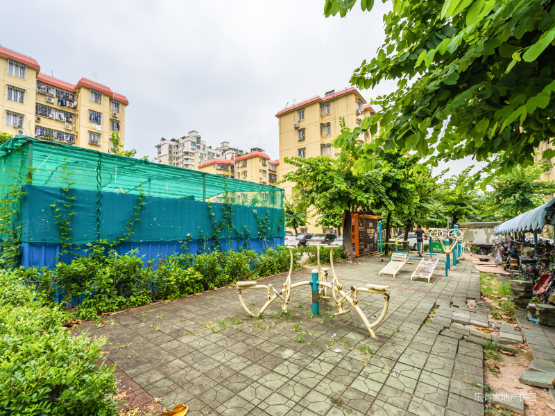 四海公园旁近指导价大三房靠近育才和花园城商圈