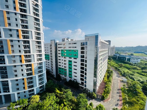 南宁西乡塘心圩骋望麓涛广艺对面,住宅小区三房,离学校西门近,可看