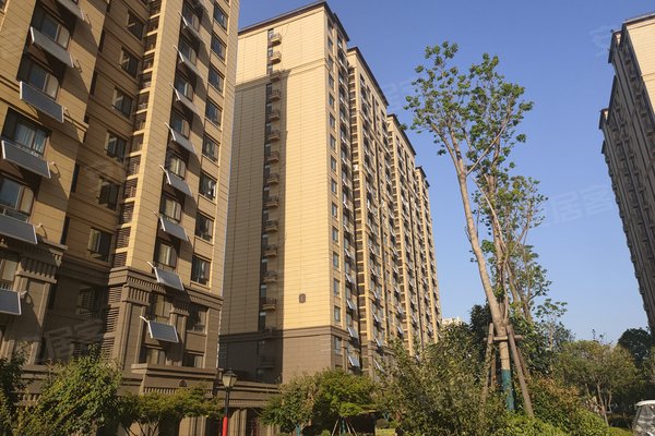 枣庄小区 薛城小区 薛城小区 鸿鑫俊景 鸿鑫俊景怎么样