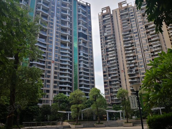 深圳光明光明楼村花园(一期)新上房源楼村花园,景色优美,精装修,超大