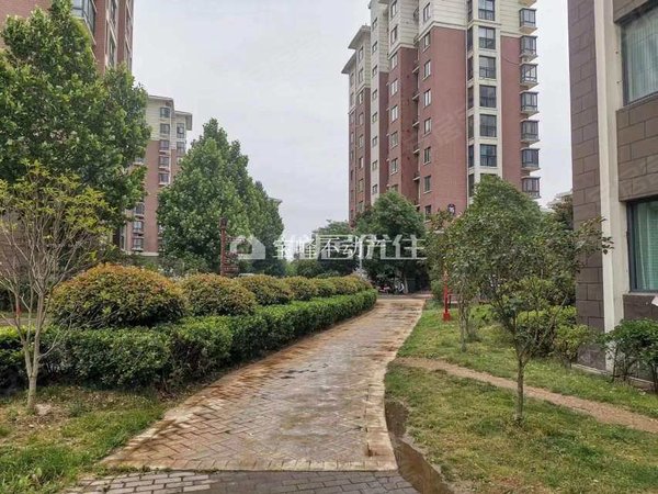 【多图】领秀城福华园,信阳贸易市场租房,福华园 电梯好楼层 精装 领