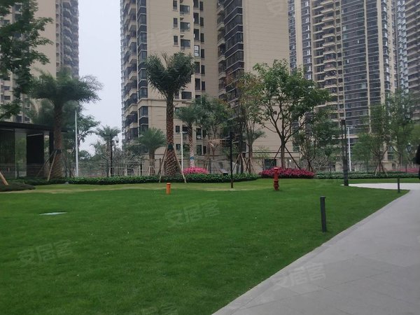 澜月府,精装修靓房,小区绿化面积大,有游泳池出租房源真实图片