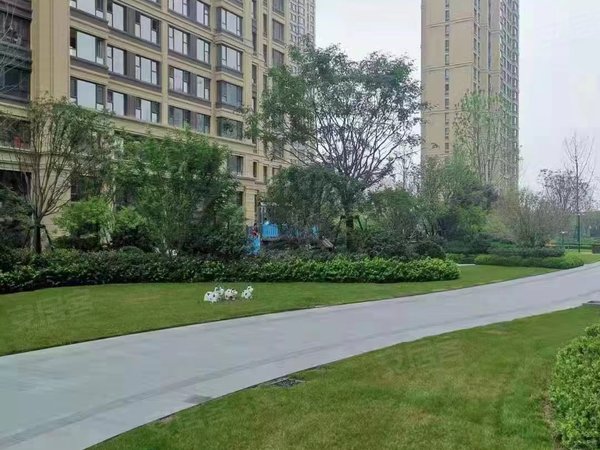 纺织城 华阳城 唐都医院 长乐东路 席王精装,灞桥租房-西安58安居客