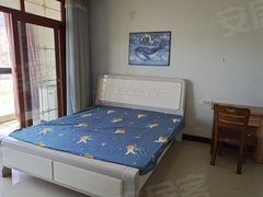 鹰潭贵溪贵溪城区远东国际精装修公寓1室1厅，城南一中旁边，家具齐全随时看房出租房源真实图片