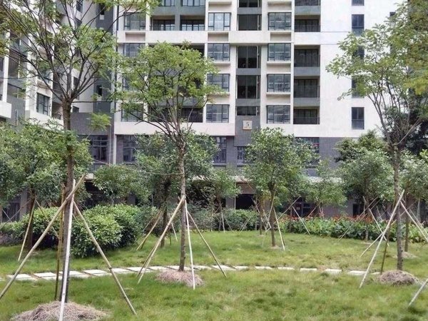 【多图】西湾和苑,西村租房,西湾和苑 中层电梯一房一厅 视野开阔