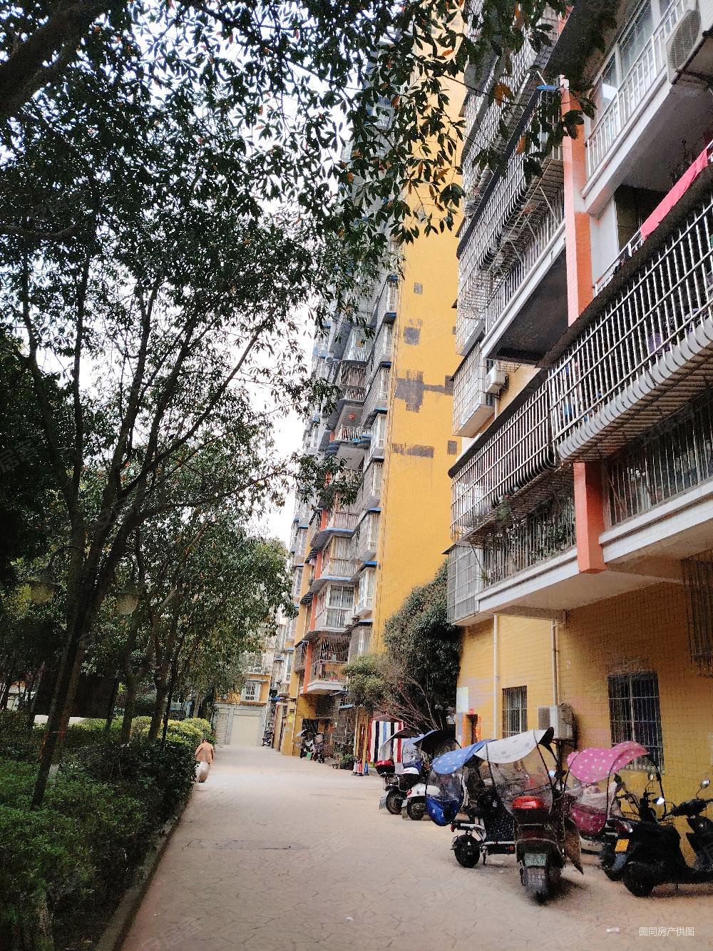 288万买原装电梯房小区大2房机会不等人