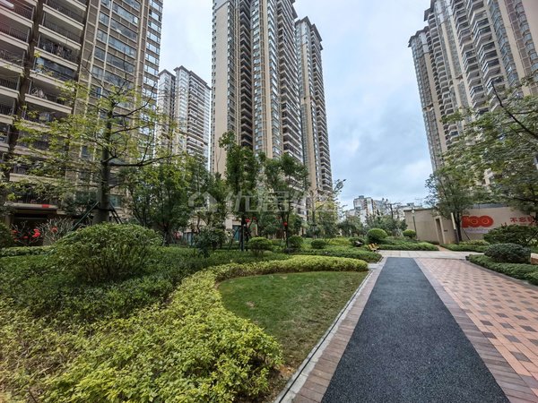 【多图】龙光玖珑府,10 1商业大道租房,环境优美采光好户型方正交通