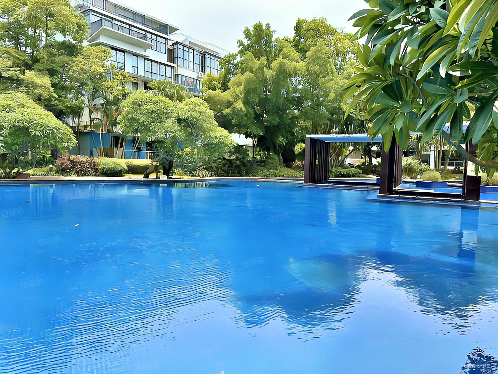 九小 侨中 未使用 位 价格美丽,菩提树二手房,245万,3室2厅,1卫,106.