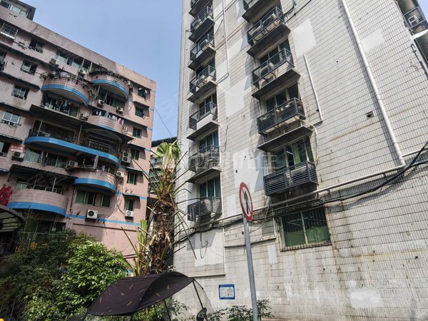 【多图】信合大厦(九龙坡),杨家坪租房,清水 41平 1室 信合大厦 整租