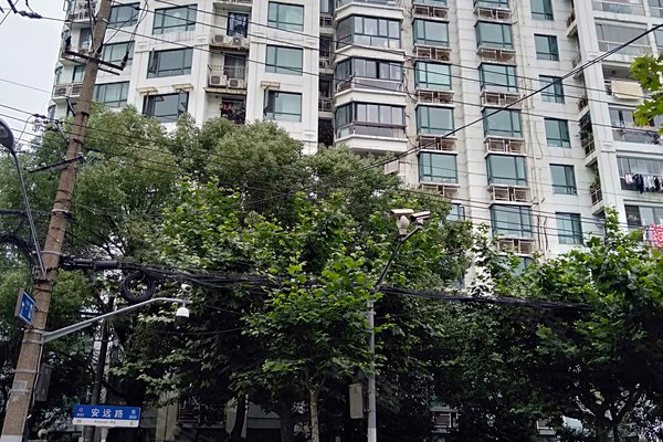 怎么样,好不好_卜另文解读:西部俊园主要是两梯.-上海安居客