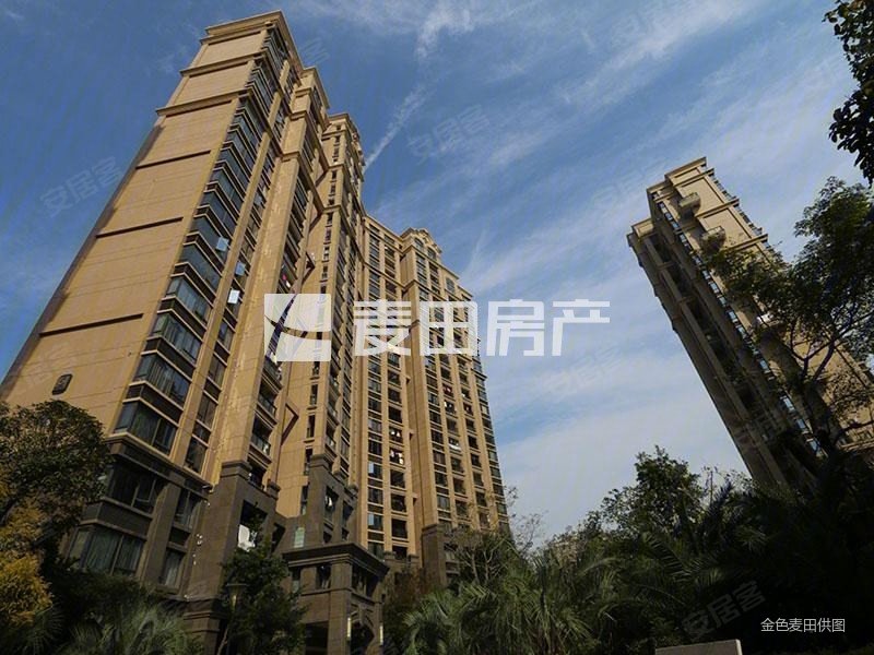 中央美地 临地铁 商业配套齐全 中间好楼层 豪华设计