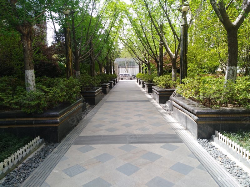 省委旁绿地海珀紫庭三室全明户型致电了解