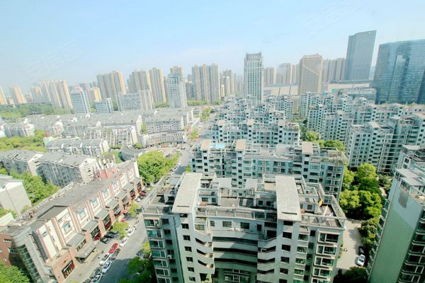 中兴花园百合苑