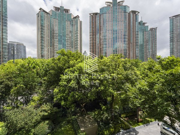 上海浦东陆家嘴保利one56保利one56|浪漫都市|2室2厅|随时看房出租