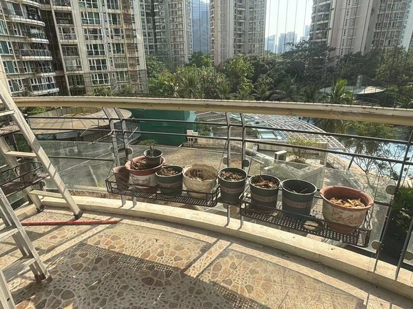 【多图】阳光带海滨城(二期),科苑租房,南外高新精装大三房,家具齐全
