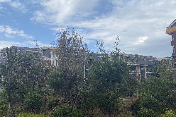 铁岭小区 开原小区 开原城区小区 世纪经典