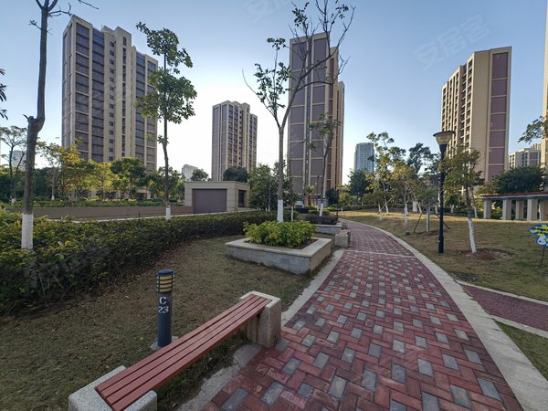 厦门翔安翔安新城洋唐居住区保障性安居房b13洋塘居住区  电梯3房