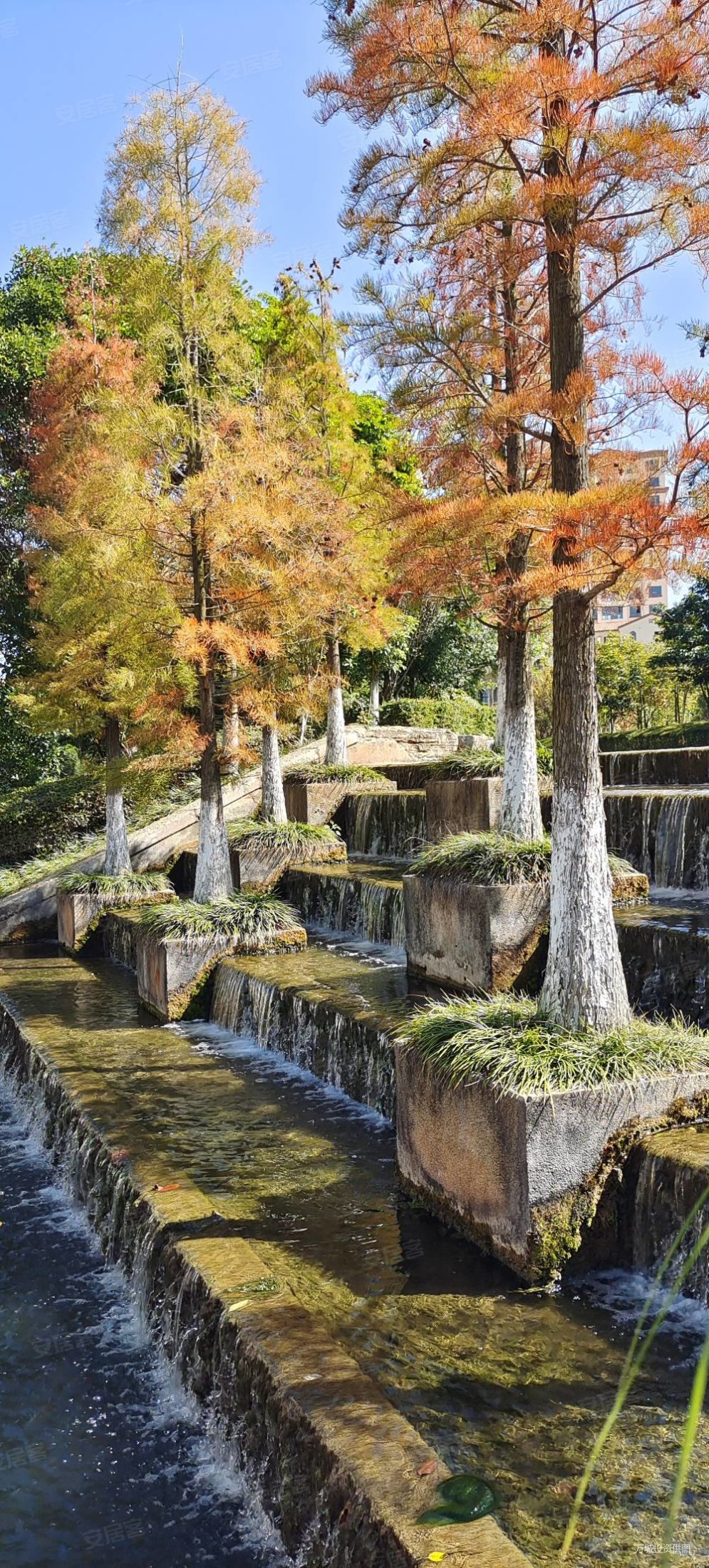 石林香醍溪岸图片