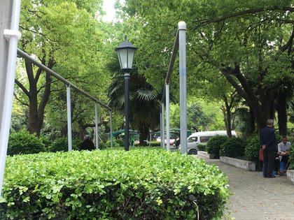 对面就是北斗星商业广场,出门左右都有超市,出门向东就有野桥菜市场