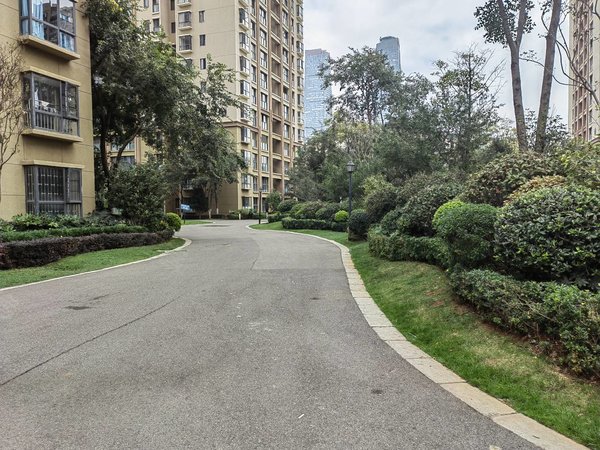 昆明西山前卫营金地九樾万达金地商圈 金地九樾三房(低价急租)拎包