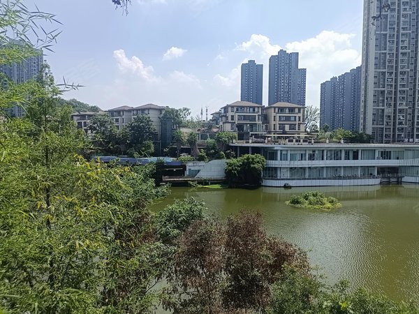 重庆渝北翠云建工未来城(别墅)3号线翠云轻轨旁联排别墅 一线临湖 带