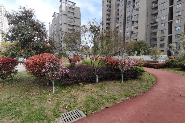 南京小区 江宁小区 百家湖小区 高尔夫国际花园 高尔夫国际花园怎么样
